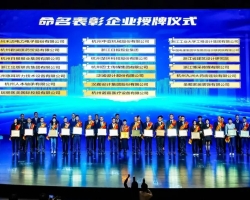 浙江工业大学工程设计集团荣获拱墅区“突出贡献企业”和“产业赛道领跑企业”两项荣誉称号
